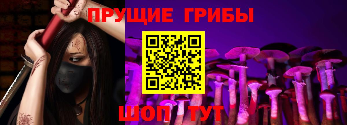 Псилоцибиновые грибы мицелий Арсеньев